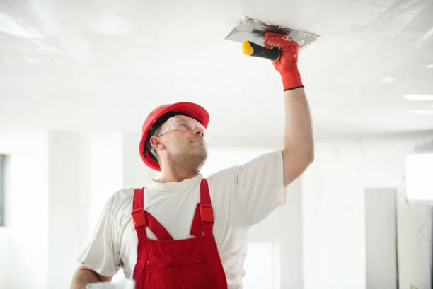 Best Commercial Painting  in Northglenn, CO