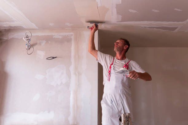 Best Drywall Sanding and Smoothing  in Northglenn, CO