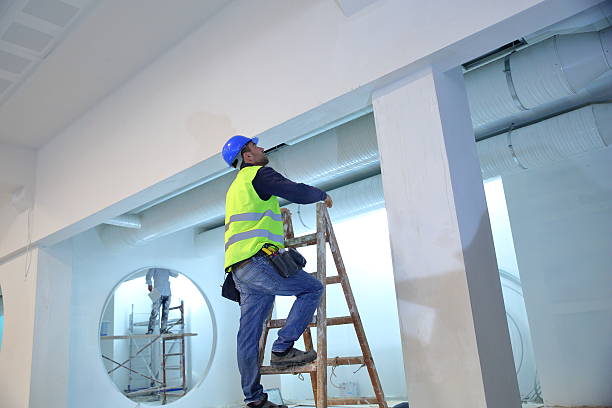 Best Residential Painting  in Northglenn, CO